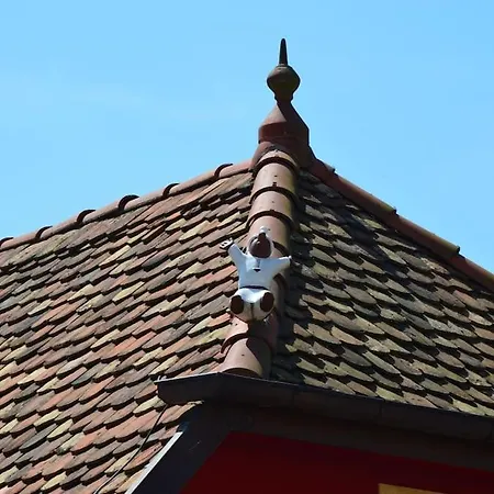 Doller 4 Stars Hot Tub Mountain Ballon D'alsace Ferienhaus